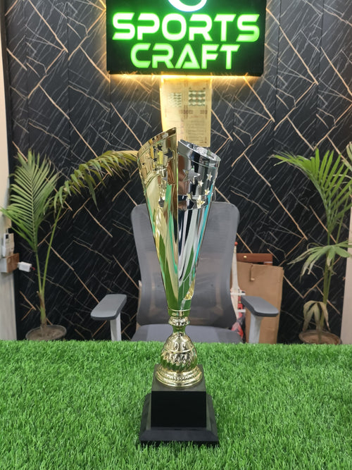 Gold & Silver Metal Trophy Cup for Sports, School & Tournament Awards